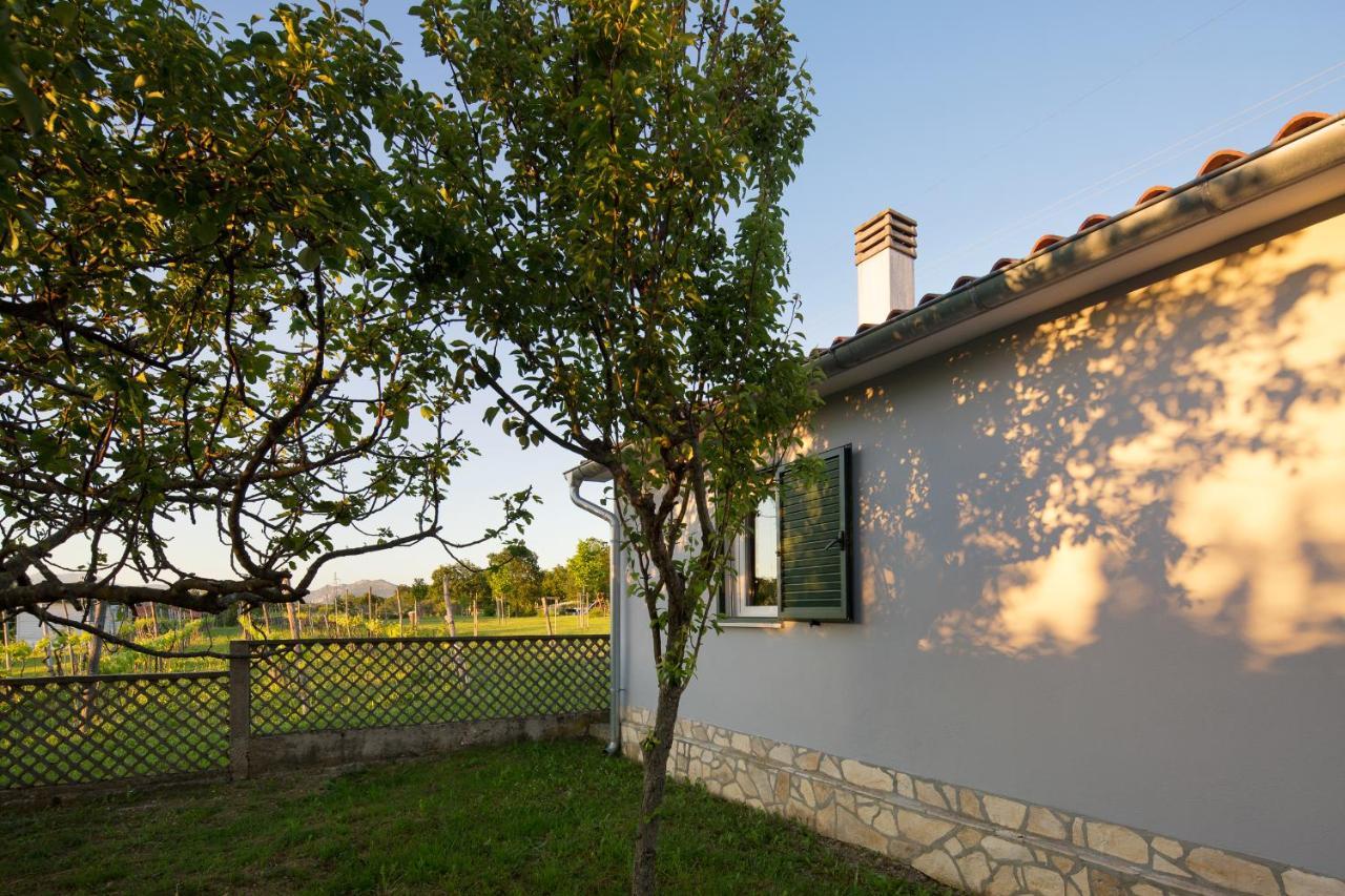 Amaryllis Villa