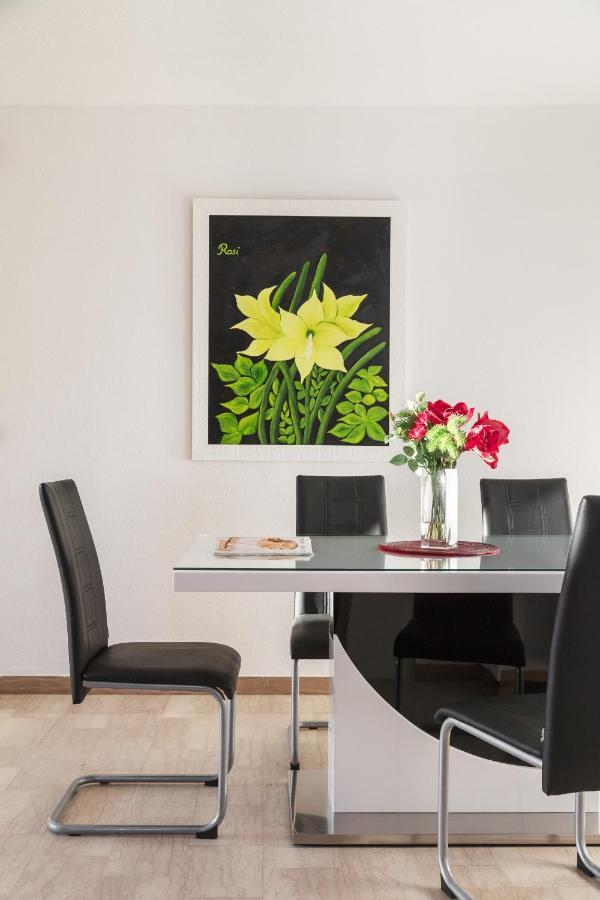 Amaryllis Labin (Istria)